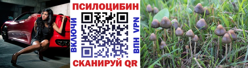 Галлюциногенные грибы MAGIC MUSHROOMS  наркота  Сарапул 